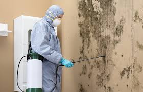 Best Airborne Mold Testing  in Westchester, IL